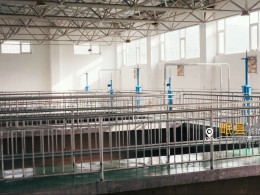 喜报｜我司获评山东省交通运输重点工程“强国示范”劳动竞赛优胜单位